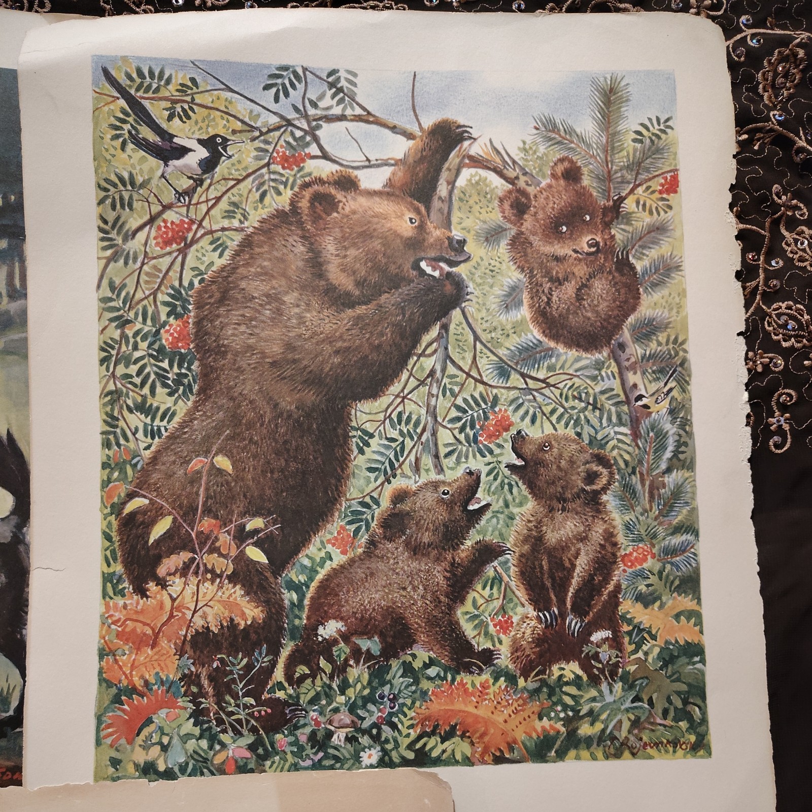 Vintage Set of Lithograph Prints Children Nursery Books Stories Little Red