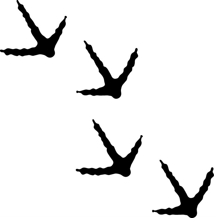 Turkey Tracks Decals Sticker Hunting – Several Colors and Sizes Available