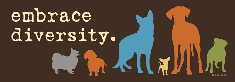 "Embrace Diversity" 🐶🐕😹 Funny Animal Bumper Car Fridge Magnet | Made in USA