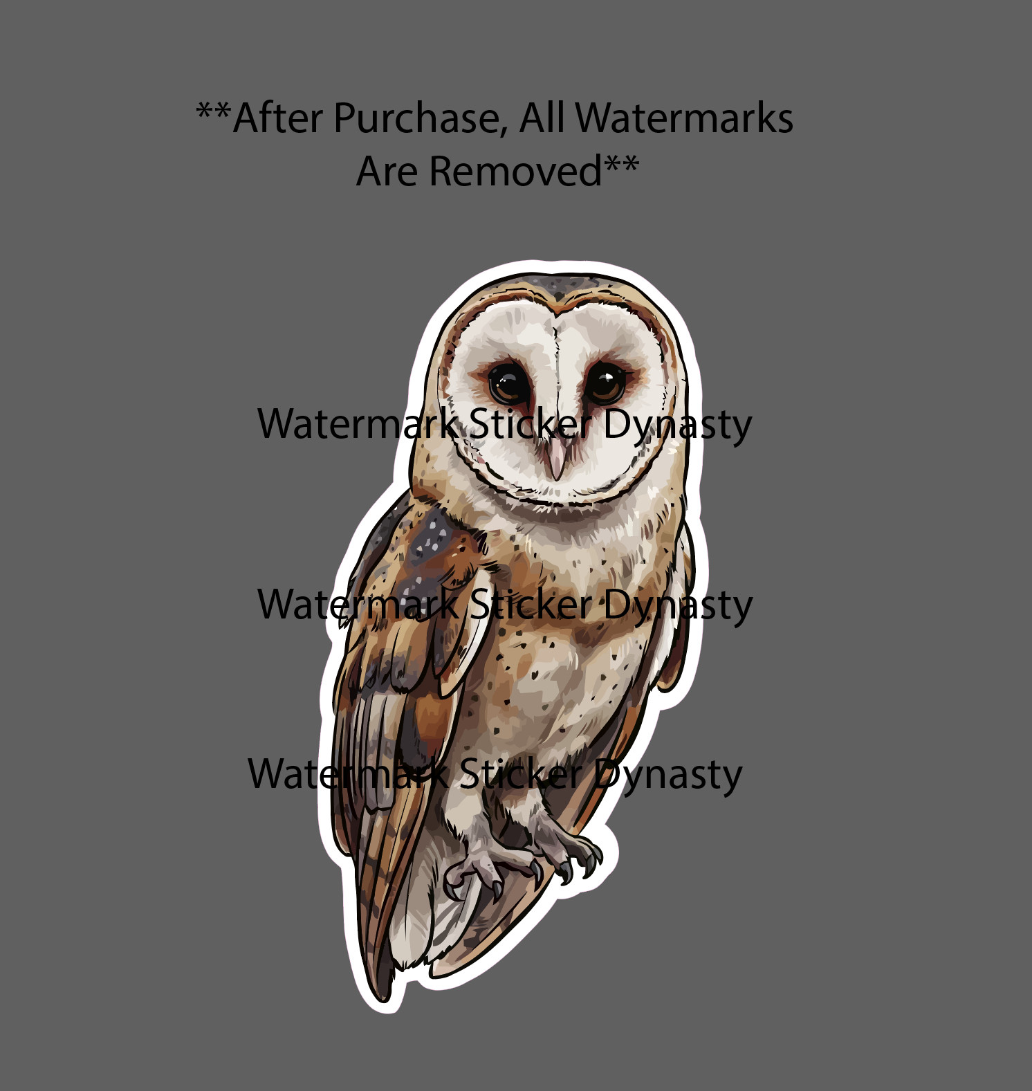 Barn Owl Sticker Waterproof Decal Animal Wild Wildlife Nature Gift NEW
