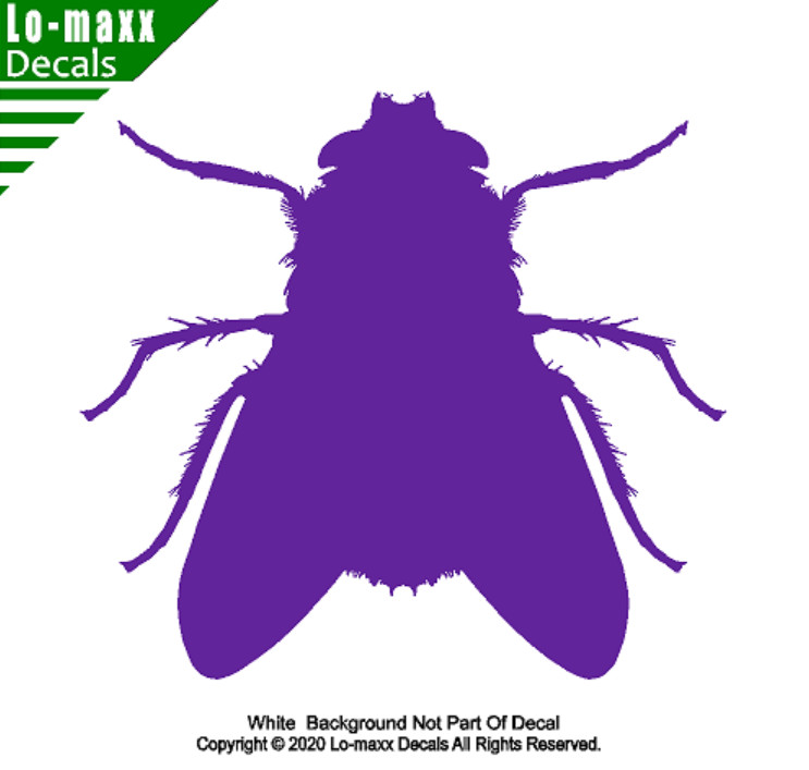 Fly Housefly Original Custom Graphic Art Superior Quality Die Cut Vinyl Decal