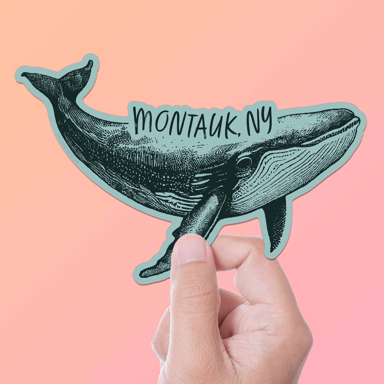 Montauk New York Humpback Whale Sticker – Long Island NY Decal for Water Bottle
