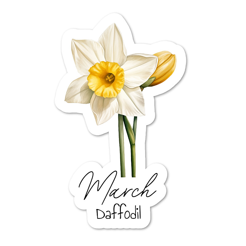 March, Daffodil Vinyl Sticker, Water Resistant, Scrapbooking, Laptop, 2 sizes