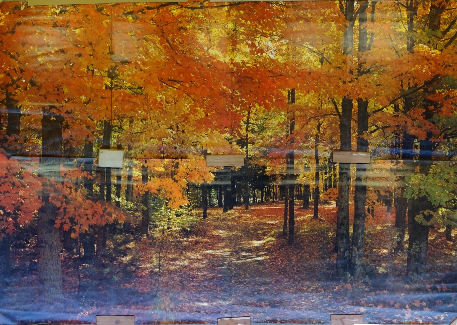Full Wall Photo Mural Colorful Autumn Leaves Forest Path Tree 8’ 8” x 12’ 6” NOS