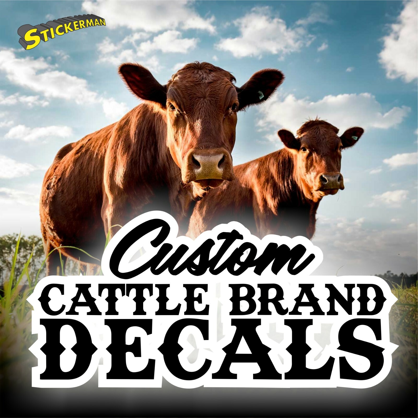 Custom Farm Cattle Brand Vinyl Decal Sticker