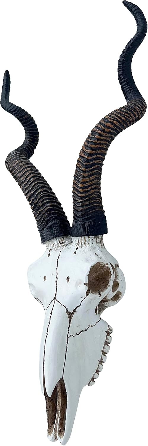 14 1/2" African Kudu Antelope Skull – Wall Mount Head – Rustic Safari Decor