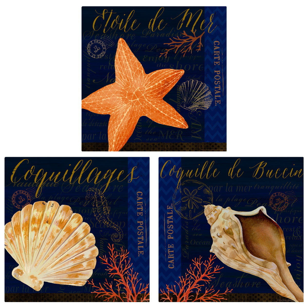 French Coastline Seashells Wall Decal Set Vintage Style Home Decor Bundle