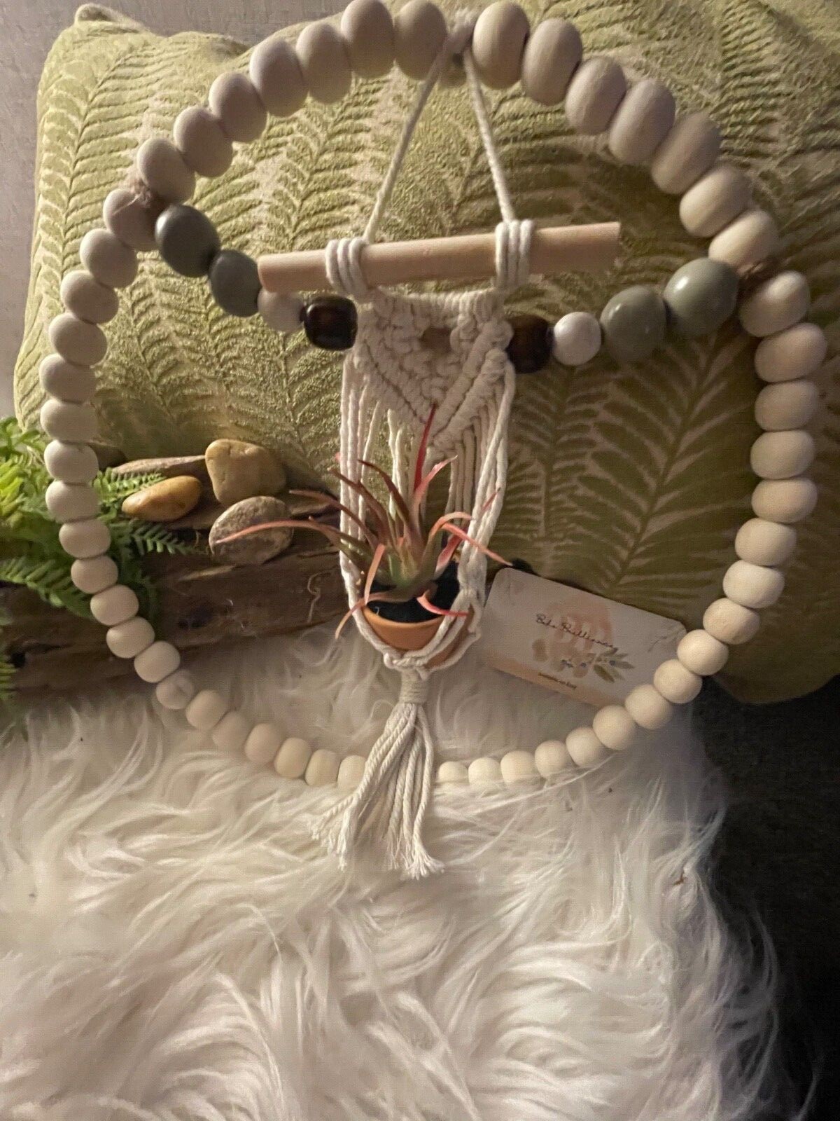 Succulent plant hanging decorative arrangement