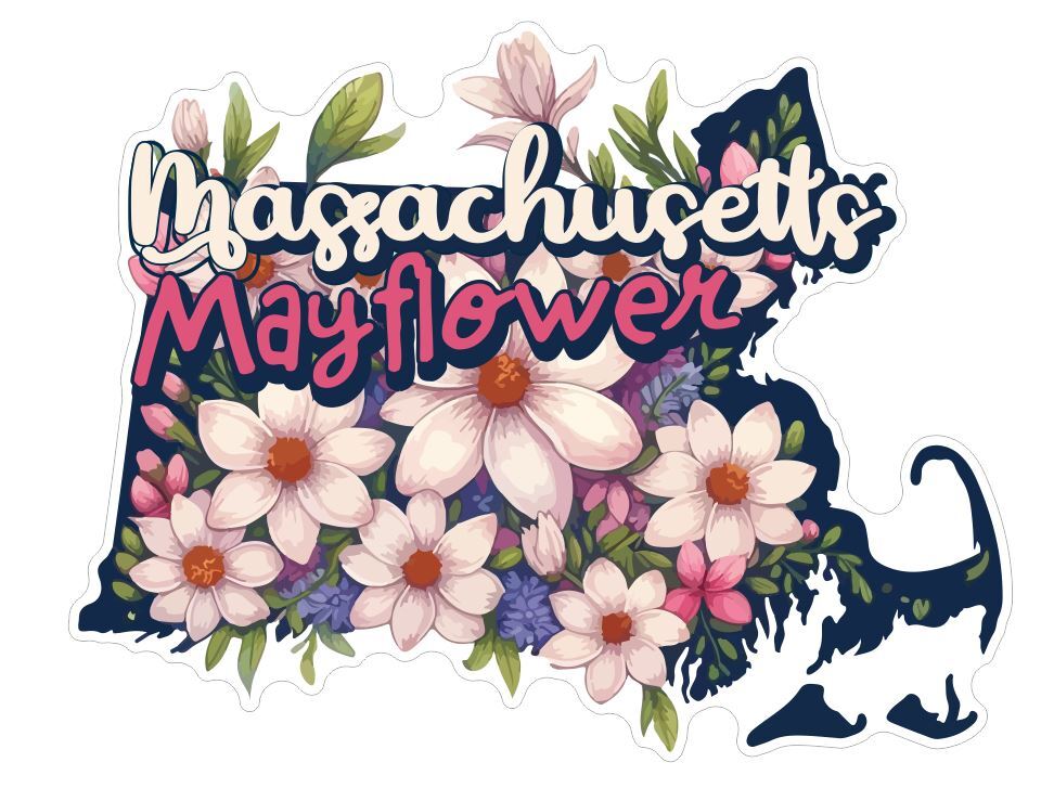 Massachusetts Sticker Stickers A298