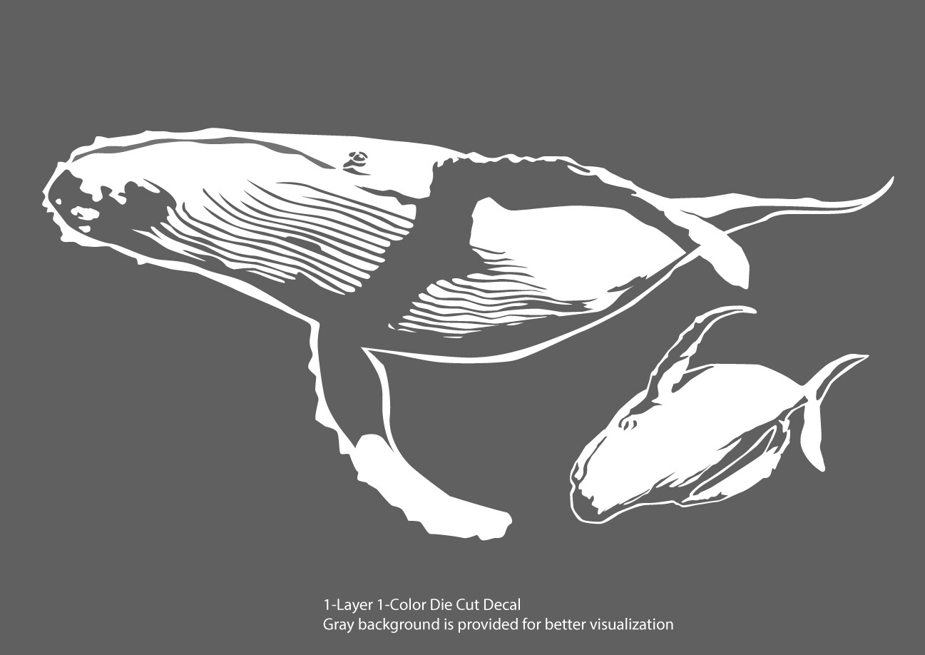 Sea life – Ocean Gray Whale 1 Outdoor Window Decal Vinyl Sticker 6Yrs Film