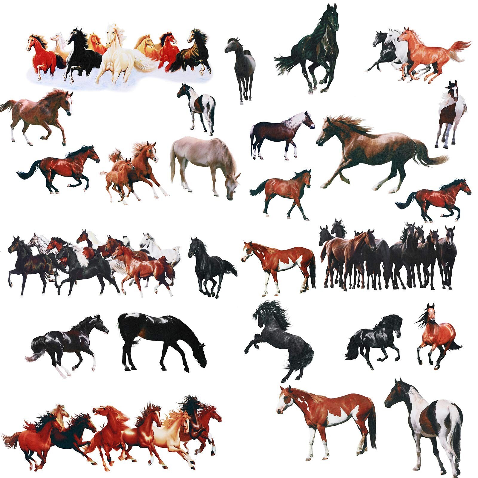 30 Pieces Horse Wall Decals Wild Horse Decor Wild Horse Stickers Wall Decals …