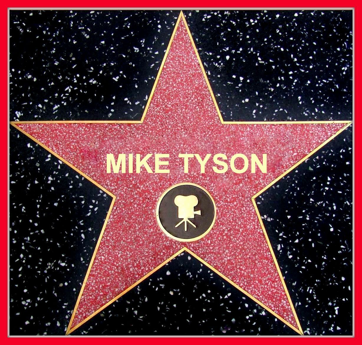 CUSTOMIZED HOLLYWOOD WALK OF FAME STAR STICKER DECAL ADD YOUR NAME ALL SIZES