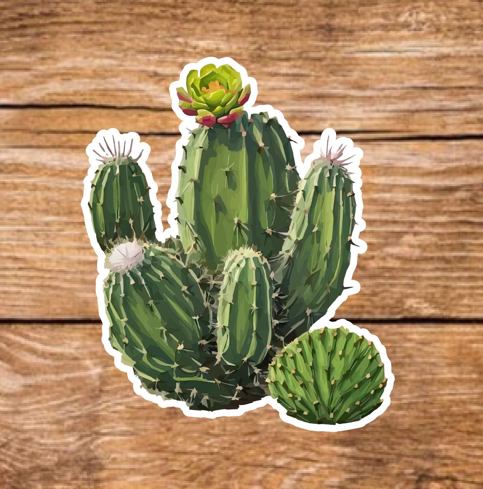 Cactus – 2 Pages (20 Sticker Set) 2in, Waterproof, Glossy Finish Vinyl.