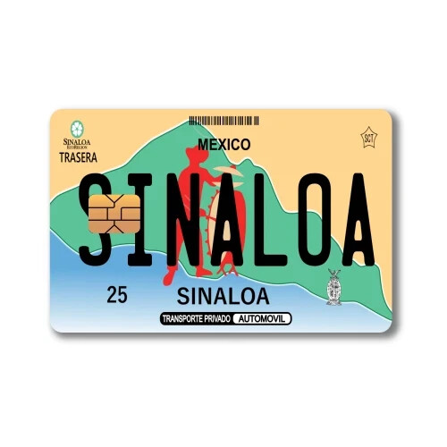 Mexican License Plate Sticker (4-Pack) | CHOOSE STATE | Mexico Placa Card Skin D