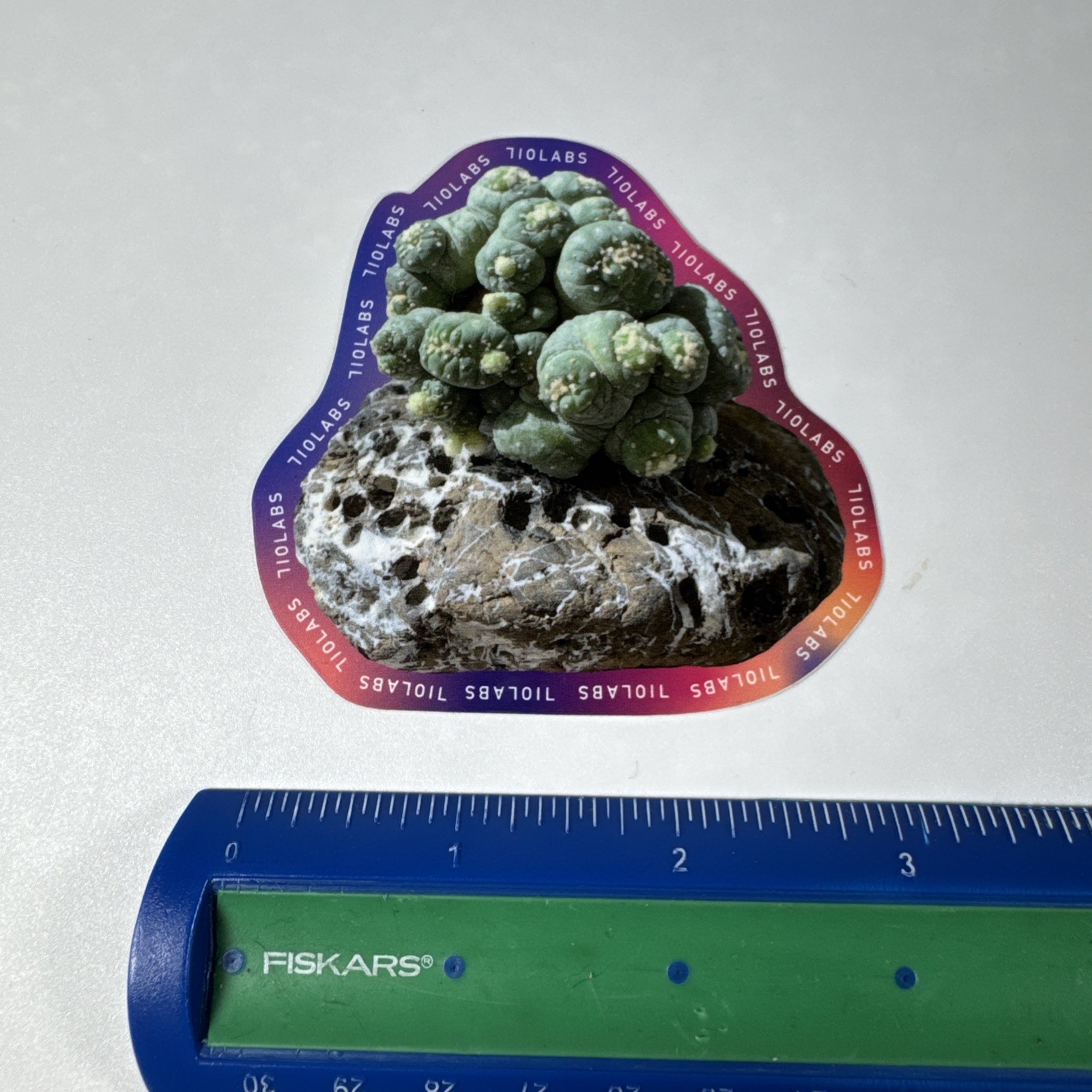 710 LABS – 710Labs Peyote Sticker – 3×3 Inches
