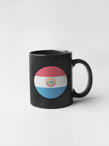 Paraguay Flag Circle Sticker Decal