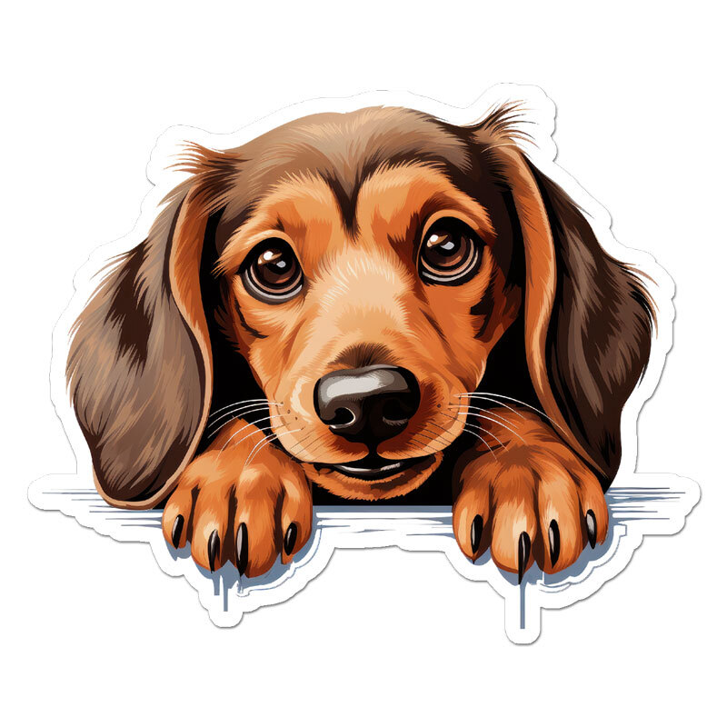 Dachshund Peeking, Vinyl Decal Sticker, Indoor Outdoor, 3 Sizes, #11989