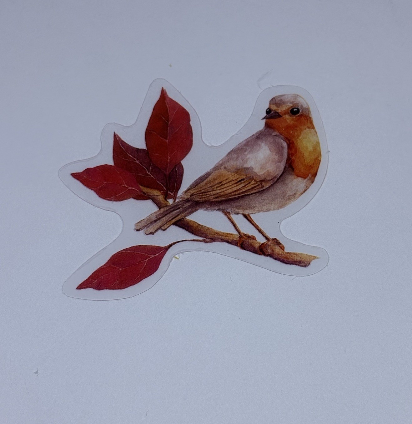 European Robin Leaves Branch Animal Art Transparent Journal Decal VinylTc6