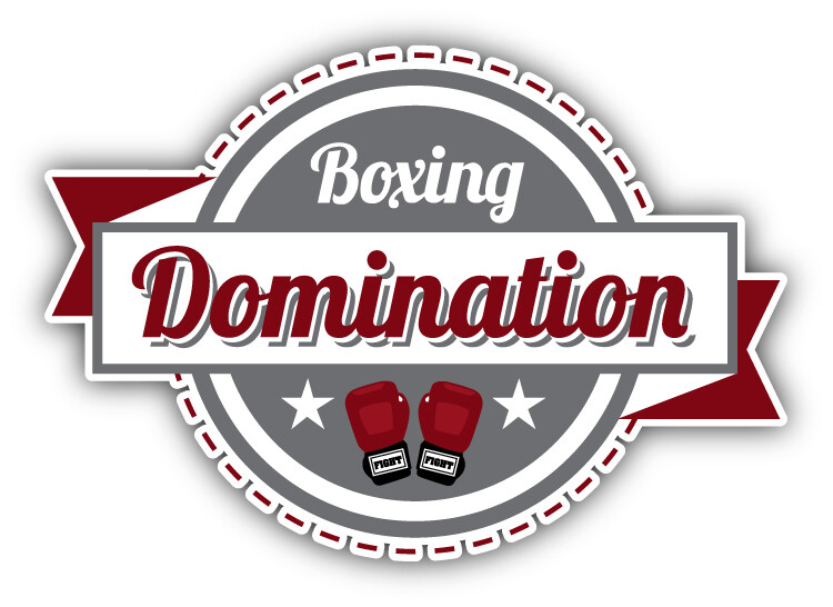 Boxing Domination Sport Label Car Bumper Sticker Decal