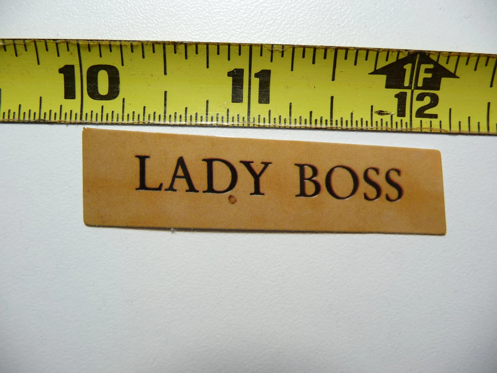 LADY BOSS SMALL STICKER DECAL SCRAPBOOKING POSITIVE MOTIVATE WORDS MOTIVATIONAL