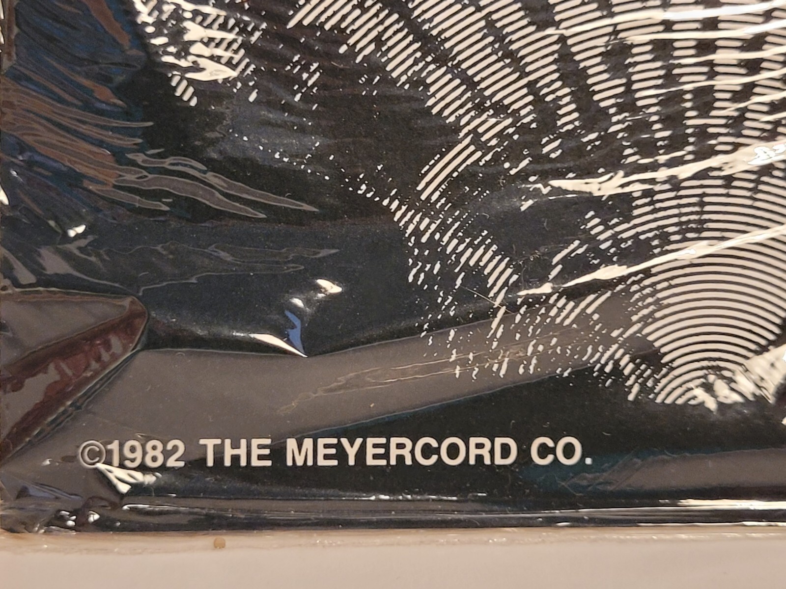 Vintage Meyercord Decalart Glass Door Window Designer Decor Etched Seashell
