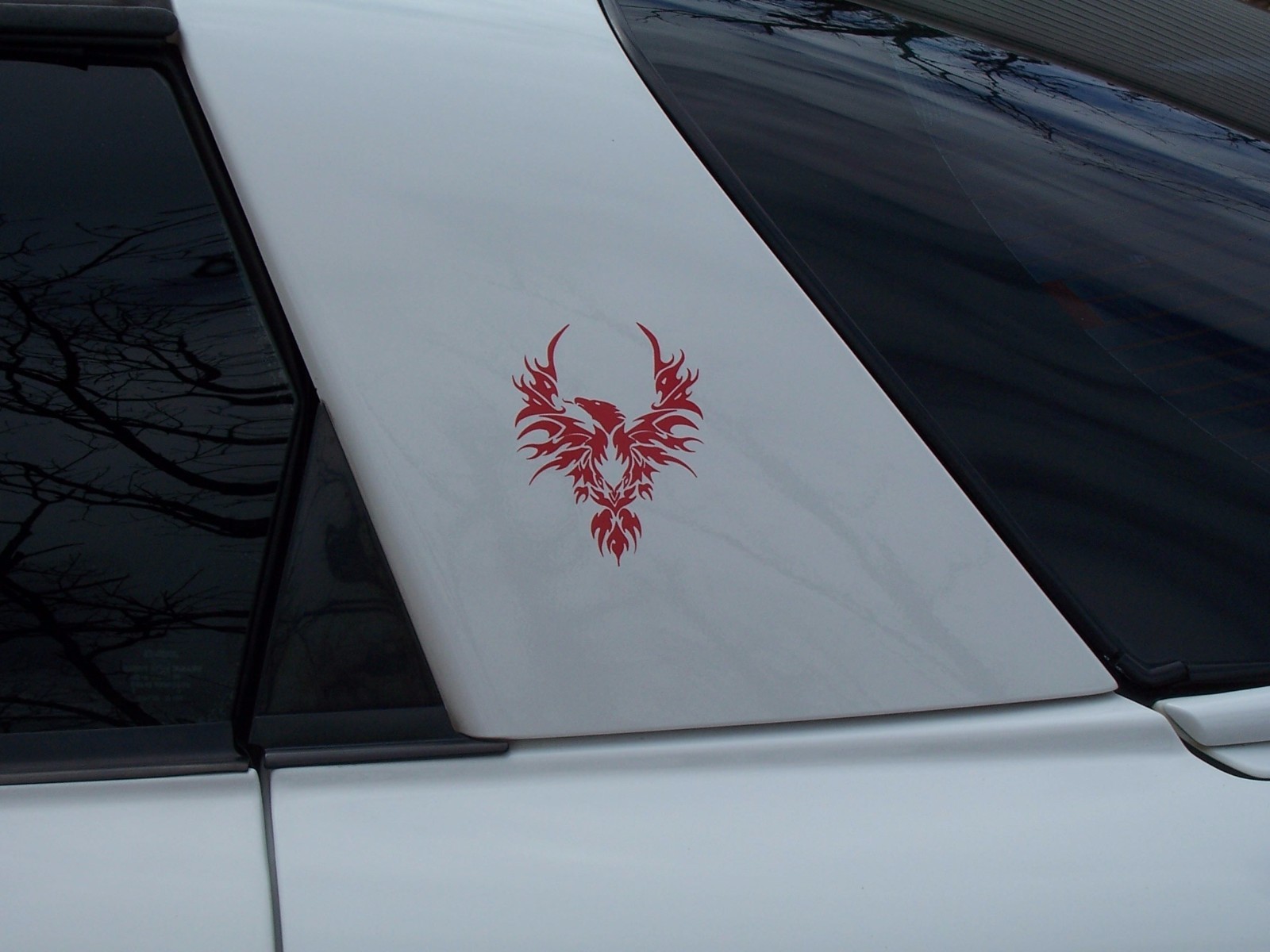 Hood Bird Sail Panel decals Phoenix fit Firebird Pontiac Trans Am Decal Graphics