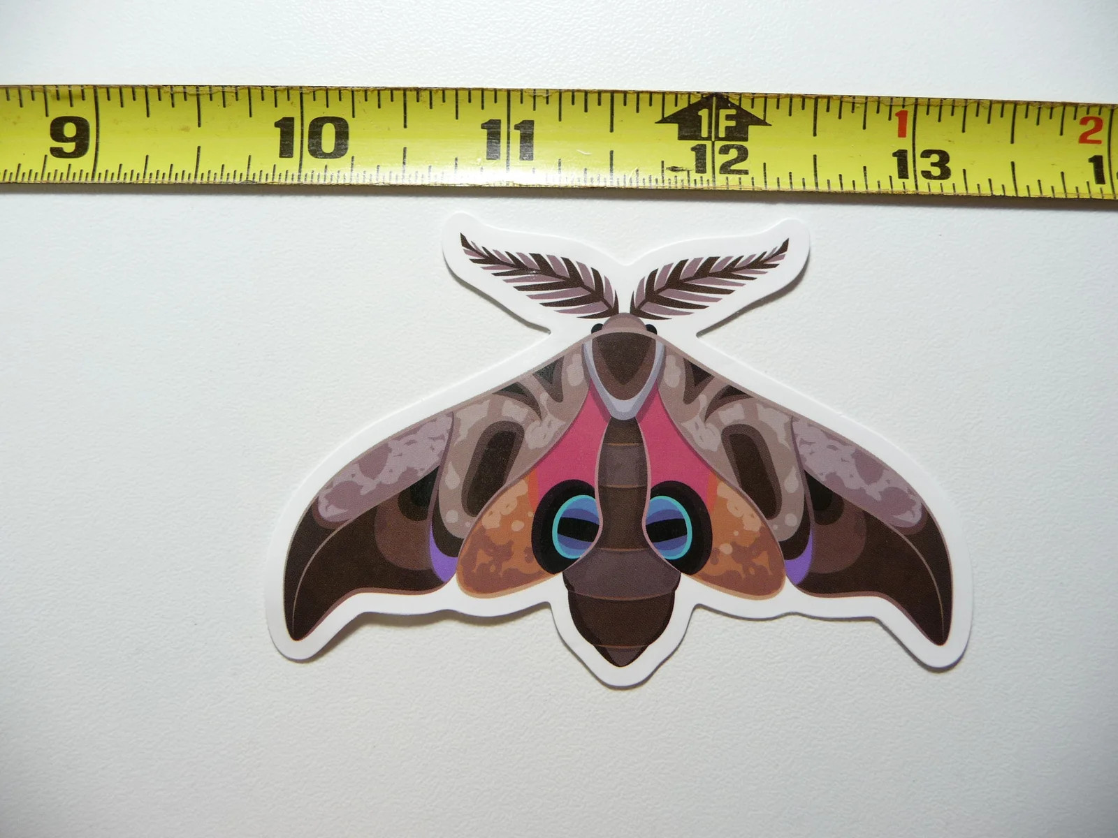 MOTH #5 SMALL STICKER DECAL BUG INSECT FUN FUNNY