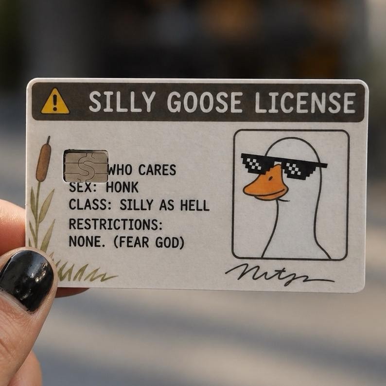 Silly Goose Credit Debit Card Skin Cover Sticker Chip Funny Decal – 2 Pack