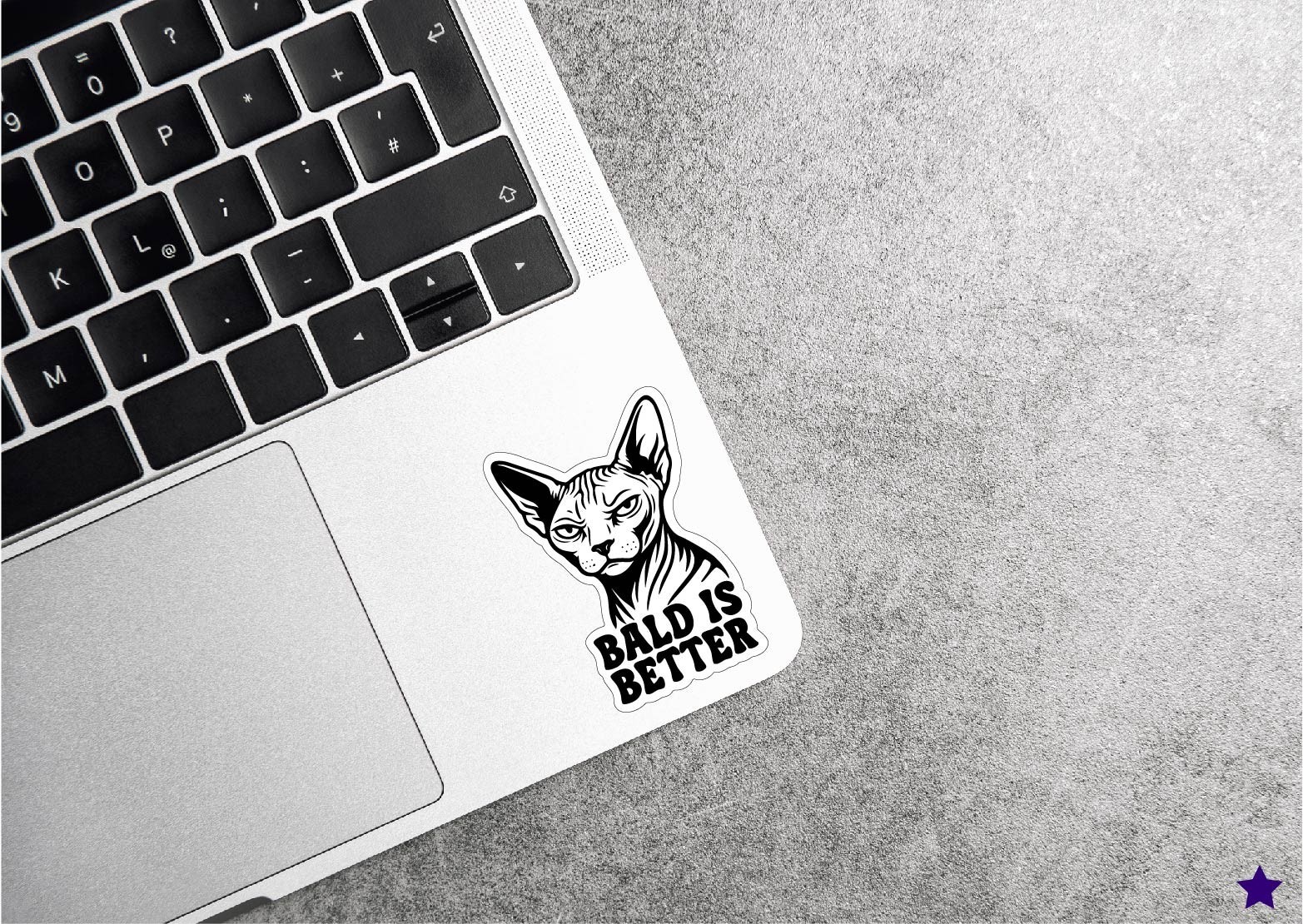 Sphynx Cat Decal Sticker Bald is Better Hairless Kitty Skin Meow Kids Gift Decor