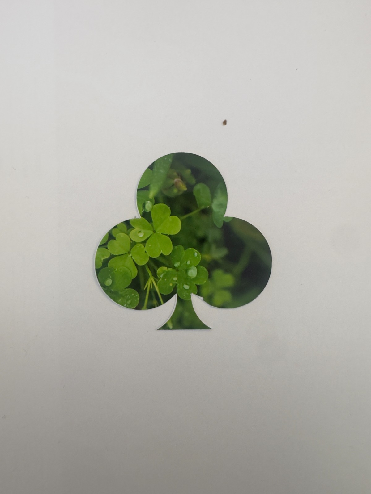 Custom Vinyl Stickers UV Laminate Outdoor Waterproof Your Design – 2 to 5 inches