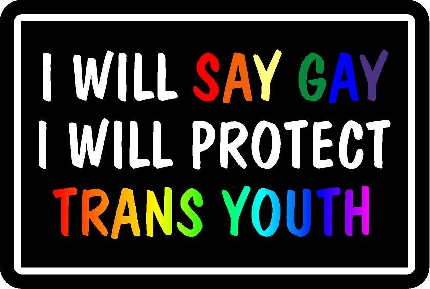 Will Say Gay I Will Protect Trans Youth Happy Pride LGBTQ+ youth sticker 3×5