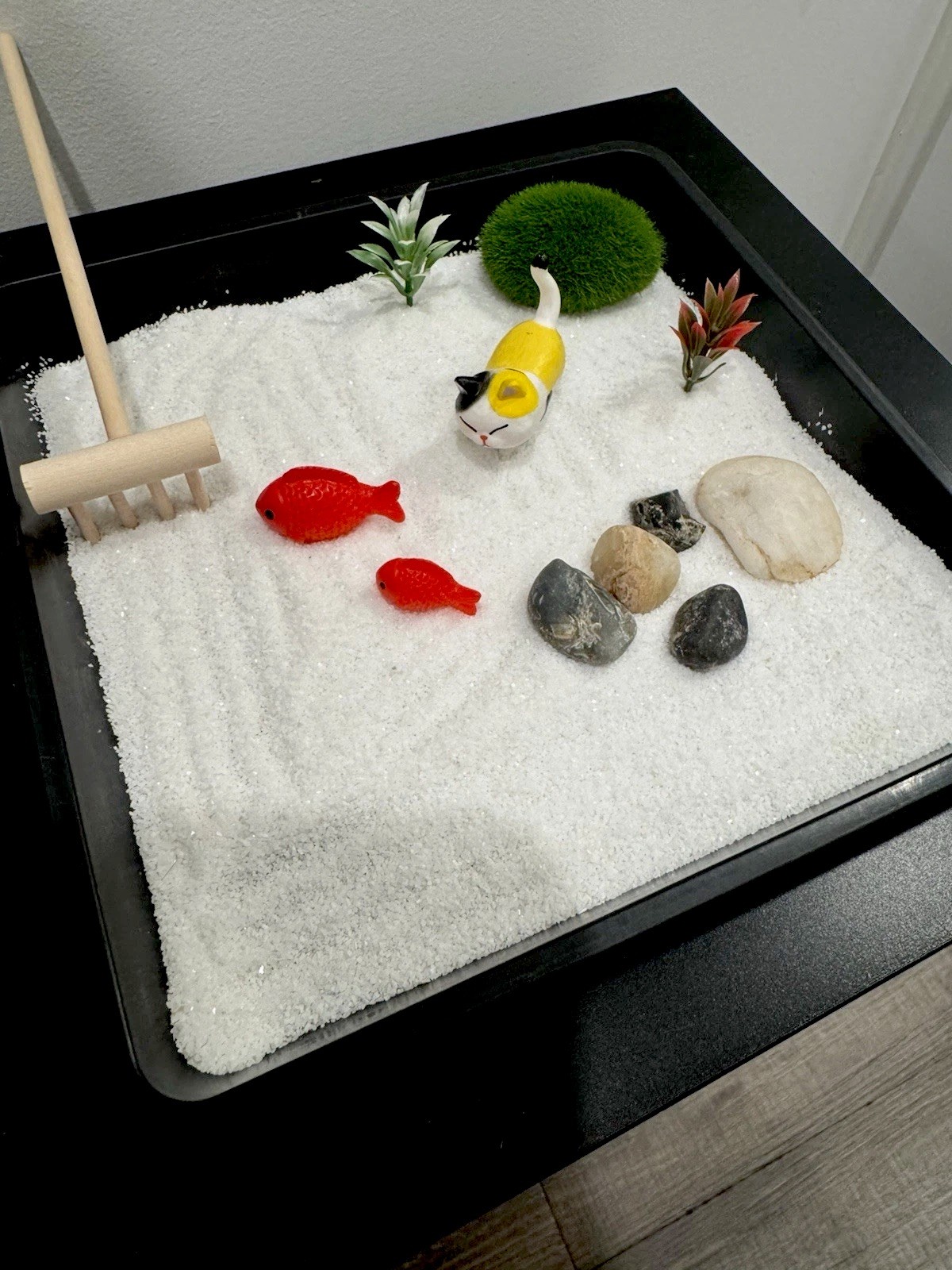Cat Koi Fish Zen Garden 7 Inch by 7 Inch – with Random Cat Style Design New Gift