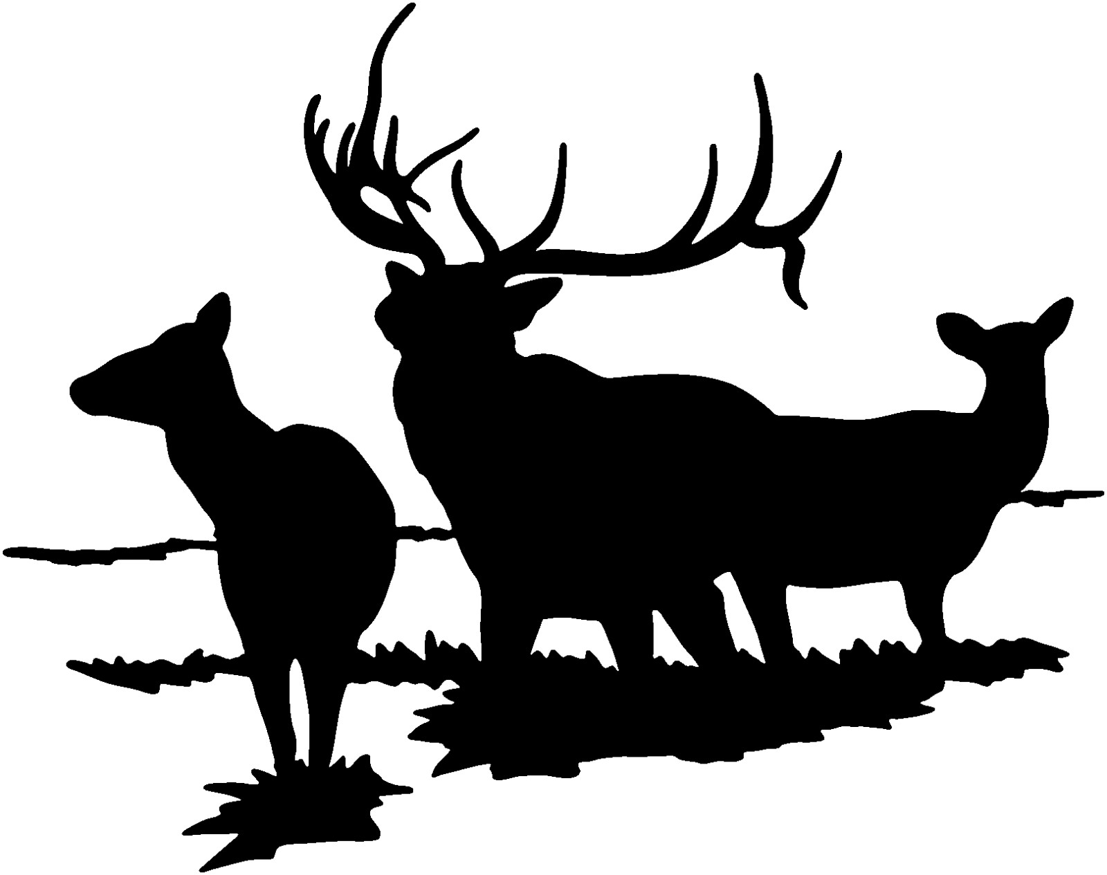 Elk Family Decal STD-2 Window Graphics for Trucks Cars Boats any smooth surface
