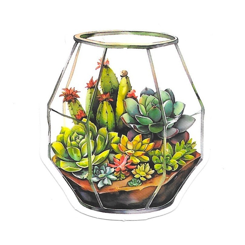 Vinyl Sticker Die Cut Geometric Terrarium Decal Succulent Cactus Gift Laptop