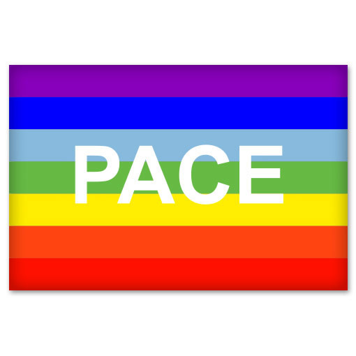 Rainbow Peace PACE Flag sign symbol car sticker 5" x 4"