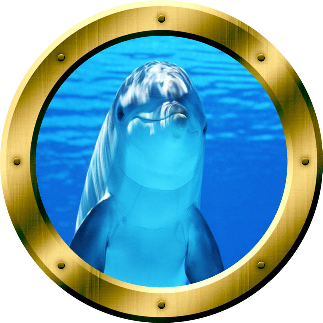Dolphin Gold Peel and Stick Porthole Vinyl Wall Decal VWAQ – GP29
