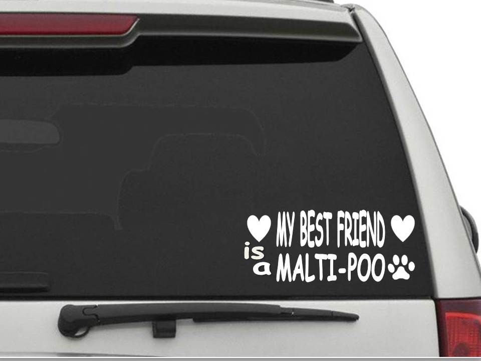 MY BEST FRIEND IS A MALTI-POO Decal Sticker CW1116