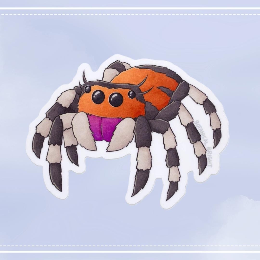 Jumping Spider Sticker – Waterproof Vinyl