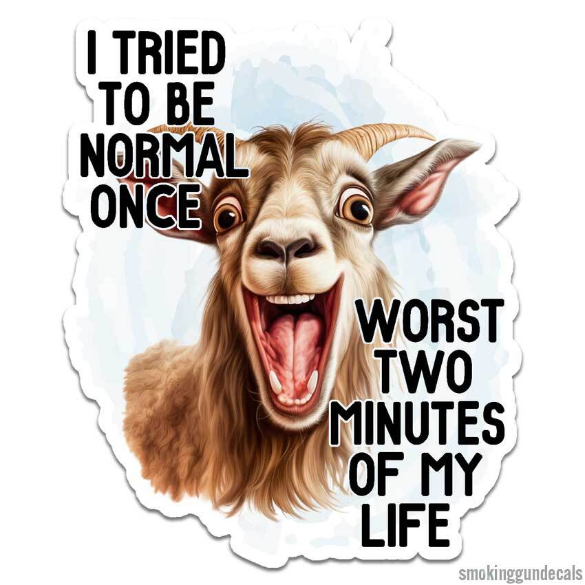 Tried To Be Normal, Vinyl Decal Sticker, Indoor Outdoor, 3 Sizes, #12012