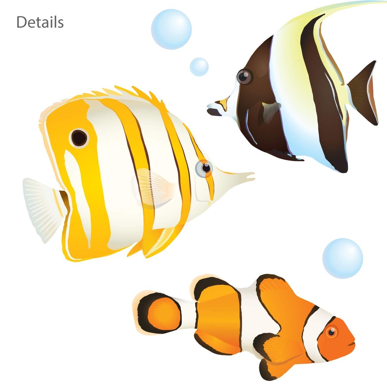 DS-8035 Coral Reef Fish Wall Stickers Wall Decals Peel and Stick Removable Wa…