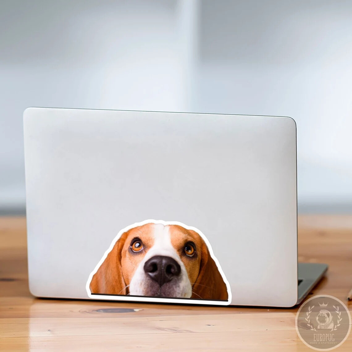 Peeking Beagle Car Sticker / Realistic Dog Head Vinyl Waterproof Removable Decal
