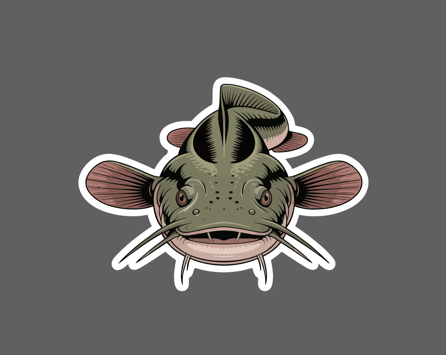 Flathead Catfish Sticker Animal Fish Outdoor Wildlife Nature Gift Waterproof NEW