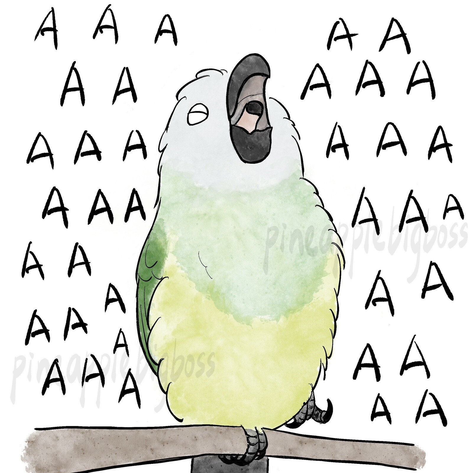 Dusky Conure Parrot CAR Sticker (screaming) Outdoor use / UV & Water Proof