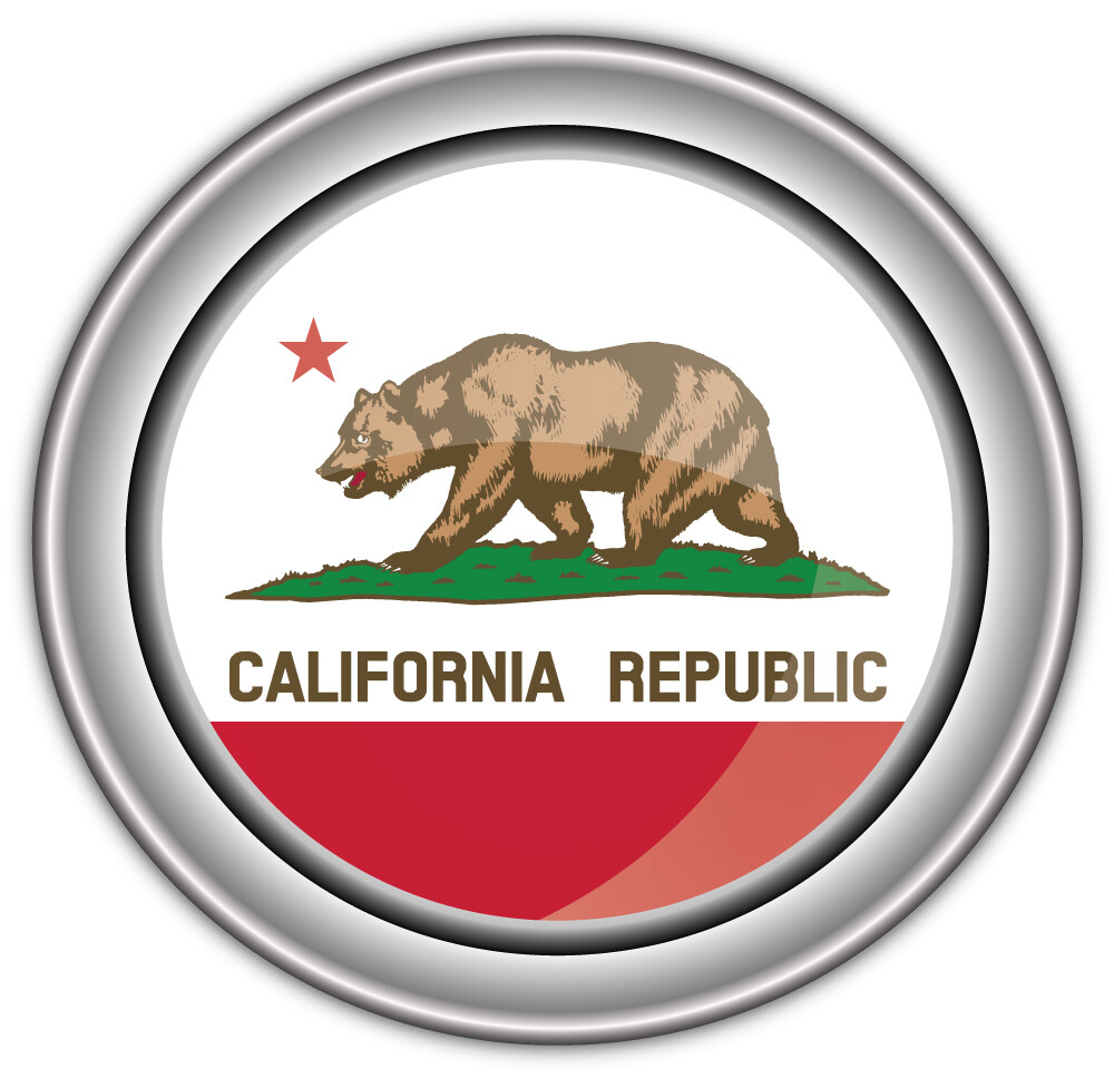California USA State Flag Silver Badge Car Bumper Sticker Decal
