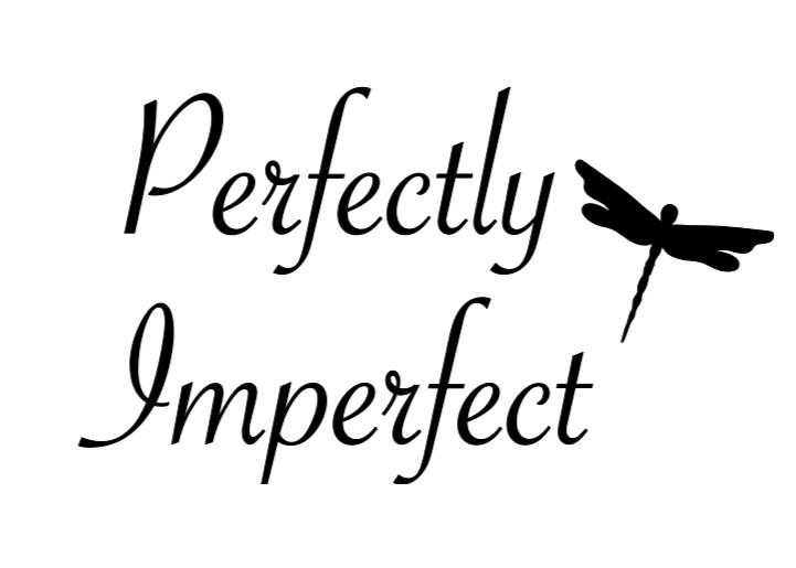 Perfectly Imperfect Dragonfly Vinyl Decal Bumper Sticker Car Window Mirror Wall