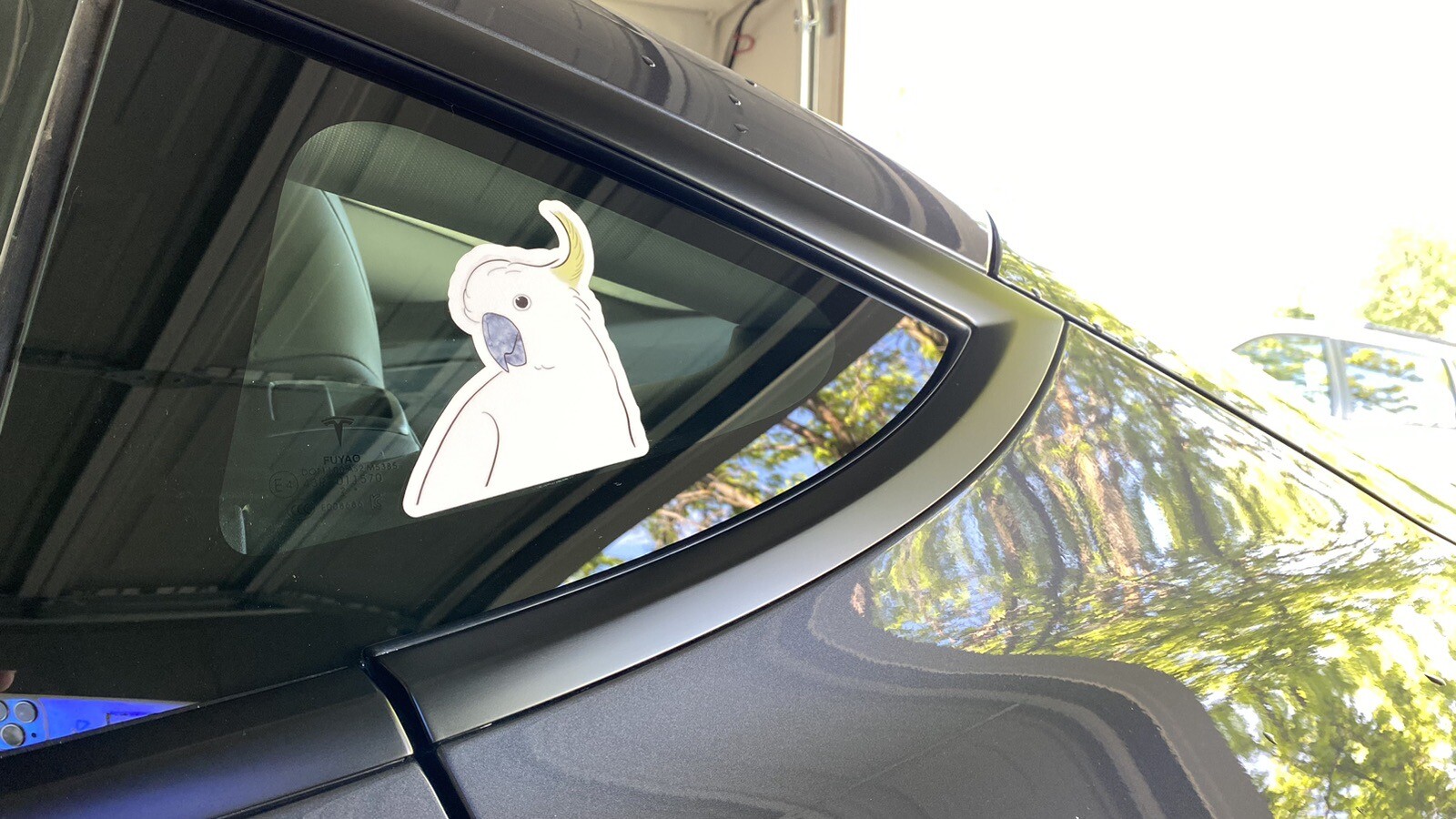 Green Cheek Conure CAR Stickers (cinnamon ) Outdoor use / UV & Water Proof