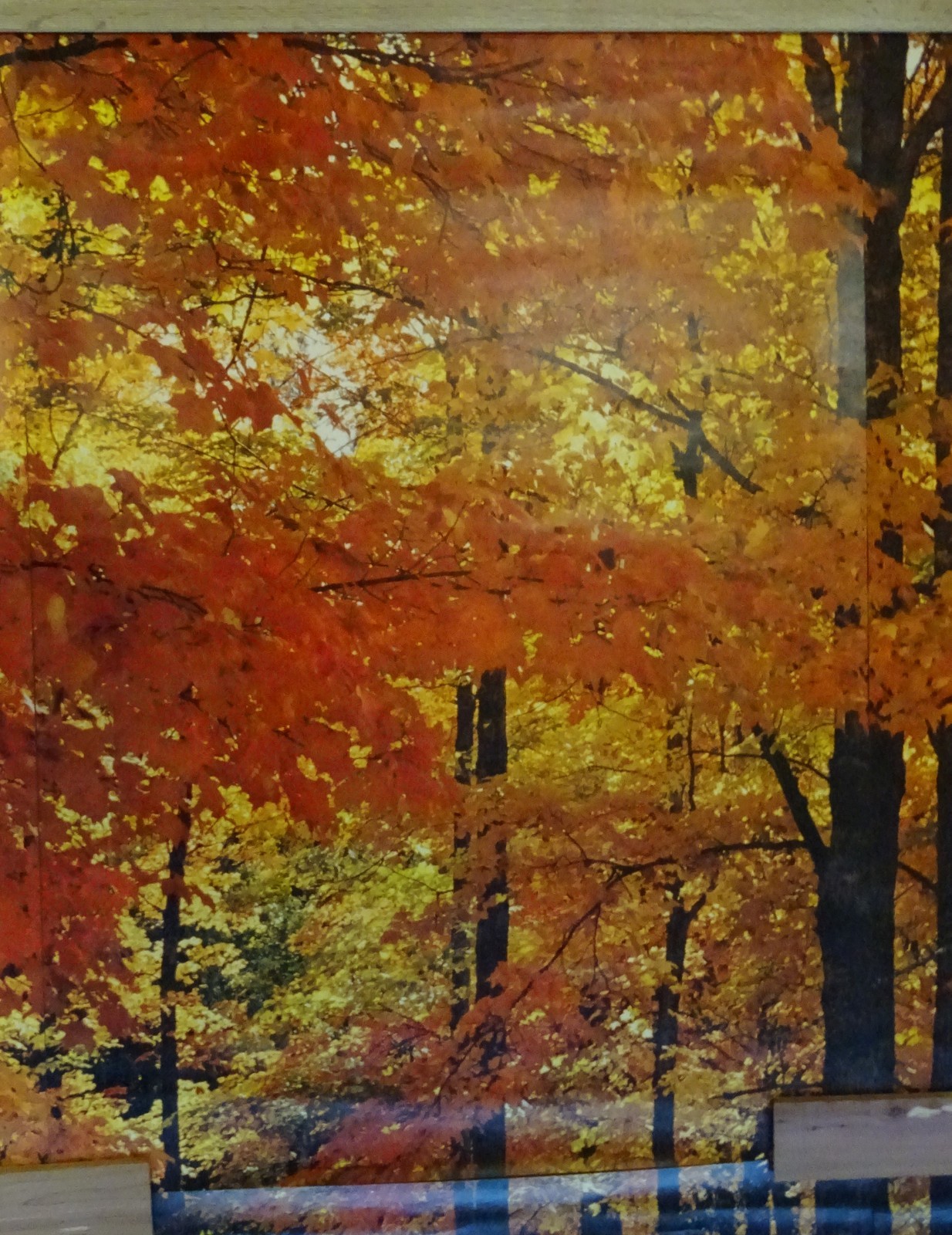Full Wall Photo Mural Colorful Autumn Leaves Forest Path Tree 8’ 8” x 12’ 6” NOS