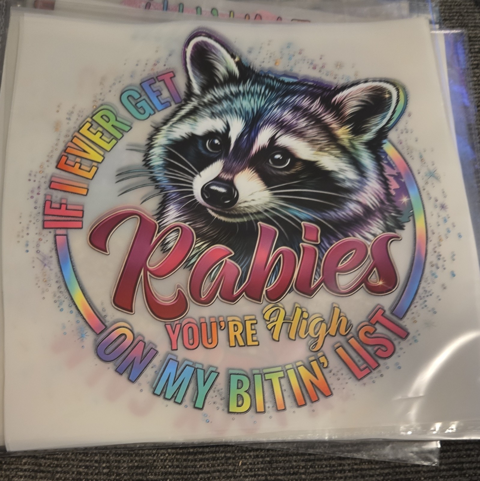 Raccoon “If I Ever Get Rabies You’re High On My Bitin’ List” Shirt L-3X