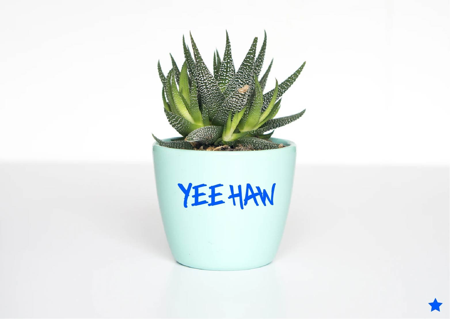 YeeHaw Decal Window Sticker Yee Haw Country Truck Music Farm Life Mullet Western