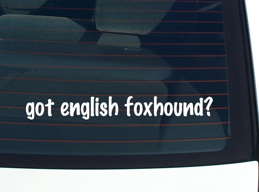 got english foxhound? CAR DECAL BUMPER STICKER VINYL FUNNY JOKE WINDOW